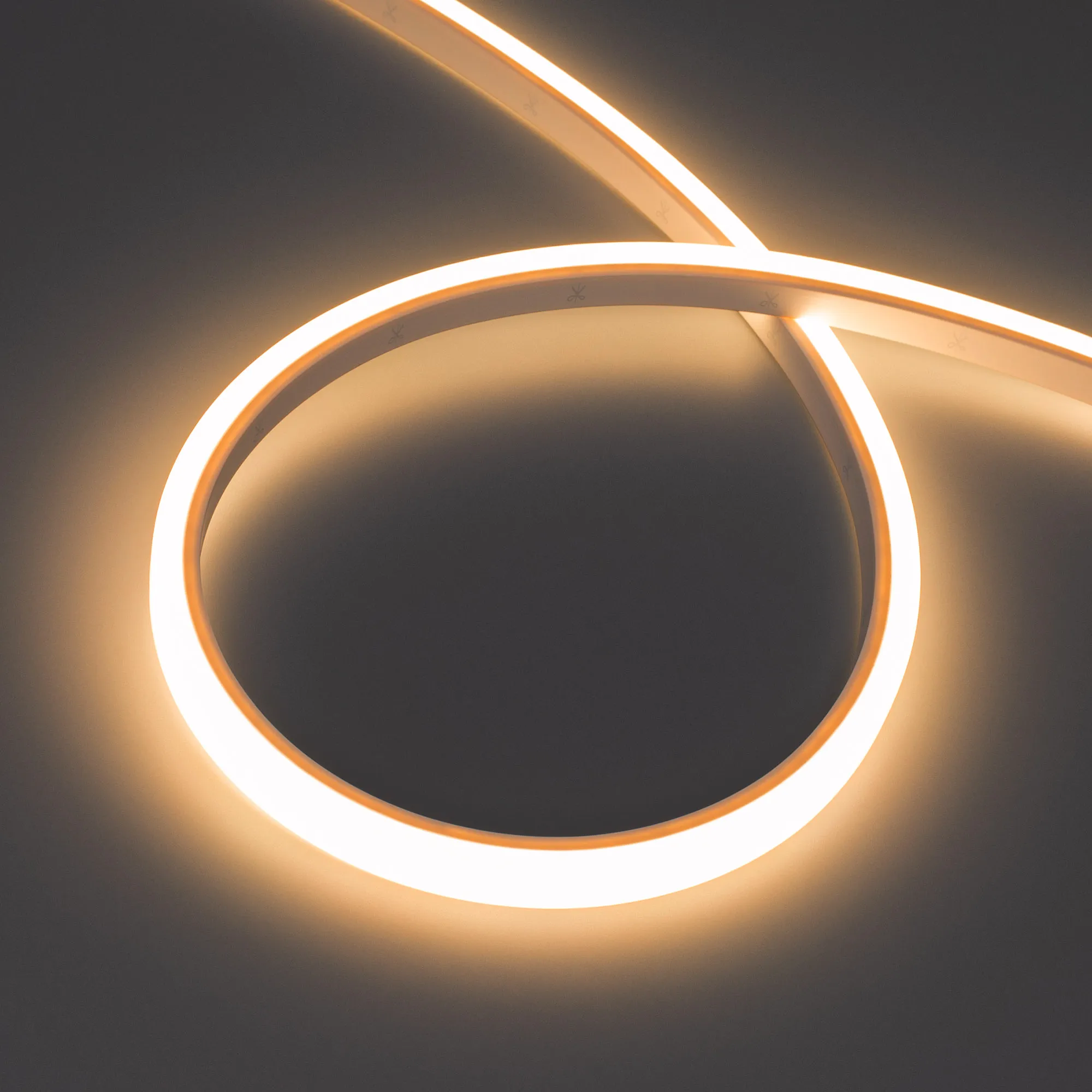 Лента герметичная WAVE-TOP-PU-A144-10x10mm 24V Warm2700 (5 W/m, IP68, 5m, wire x2) (Arlight, Вывод боковой, 3 года) - изображение товара